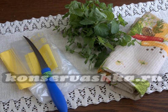 Что понадобится для заморозки мяты