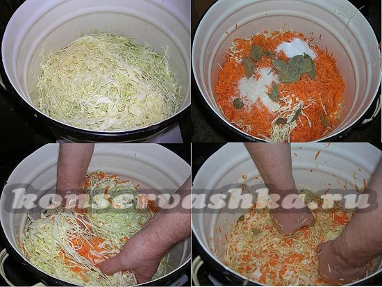 когда квасить капусту по Лунному календарю