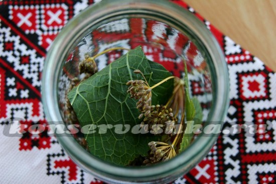 укладываем в банки зелень