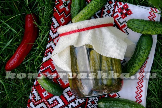 огурцы консервированные
