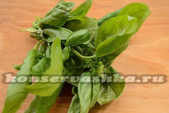 базилик для заморозки