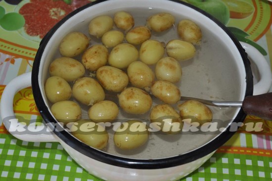 готовый компот