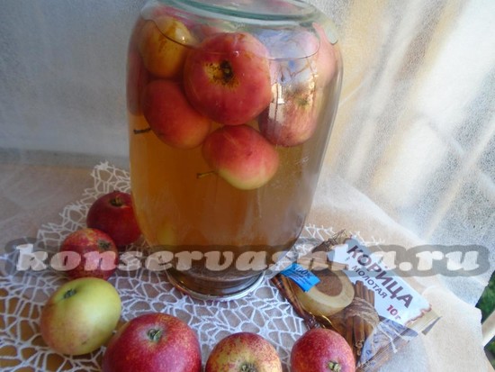 яблочный компот из яблок и корицы