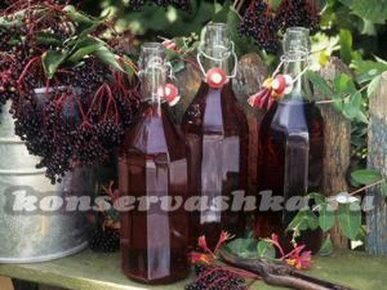 Настойка из черноплодной рябины в домашних условиях, простой рецепт Настойка из черноплодной рябины в домашних условиях, простой рецепт