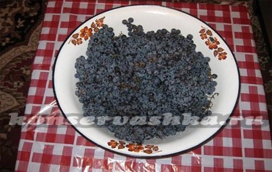 Перебор ягод для вина из винограда