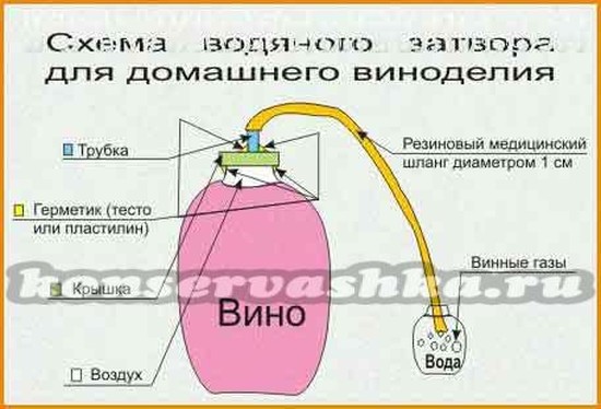 водяной затвор для домашнего вина