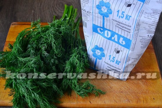 Ингредиенты для приготовления соленого укроп на зиму