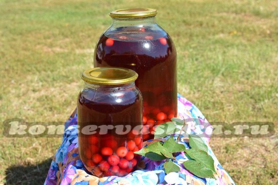 готовый компот