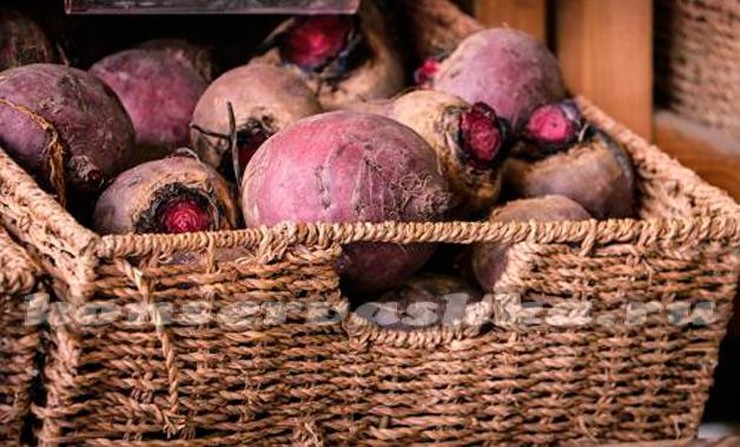 Домик из поддонов для детей своими руками 8