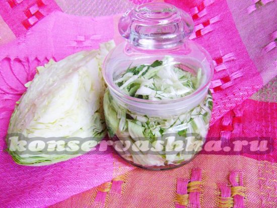 рецепт салата из капусты с зеленью на зиму