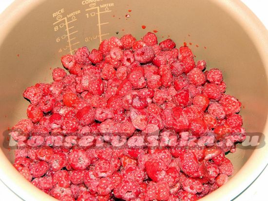 Высыпаем ягоды в чашу мультиварки