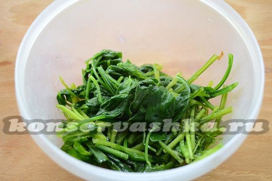 Как заморозить шпинат на зиму в домашних условиях: рецепты