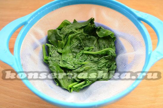 Как заморозить шпинат на зиму в домашних условиях: рецепты
