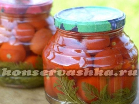 Как солить помидоры с морковной ботвой, маринованные томаты