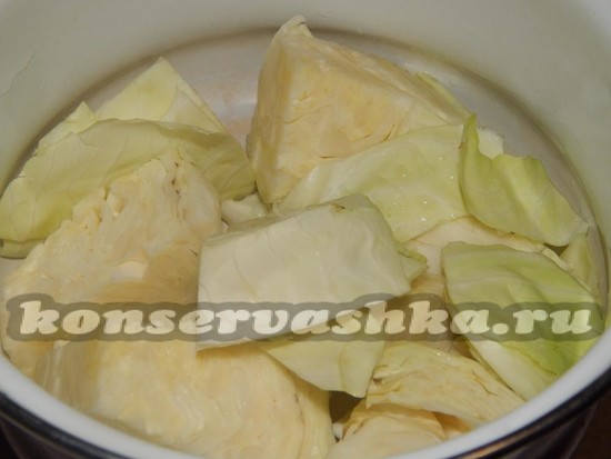 Нарезаем большими кусками капусту