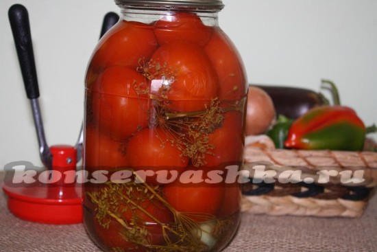 рецепт соленых помидор