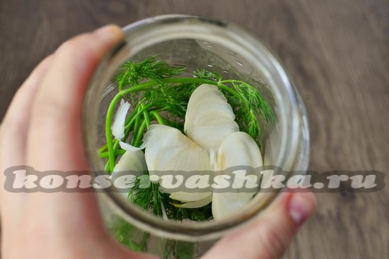 На дно банок укладываем укроп и нарезанную луковицу.