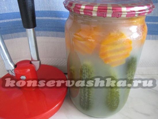 огурцы с морковкой