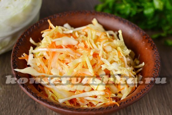 Капуста квашеная быстрого приготовления
