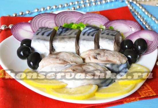 Малосольная скумбрия