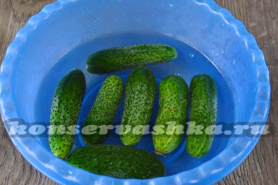 огурцы замочить
