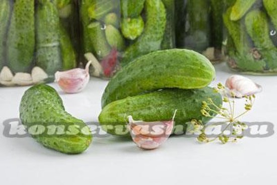 Засолка огурцов