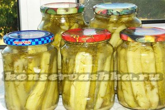 Огурцы в горчичной заливке на зиму: рецепты