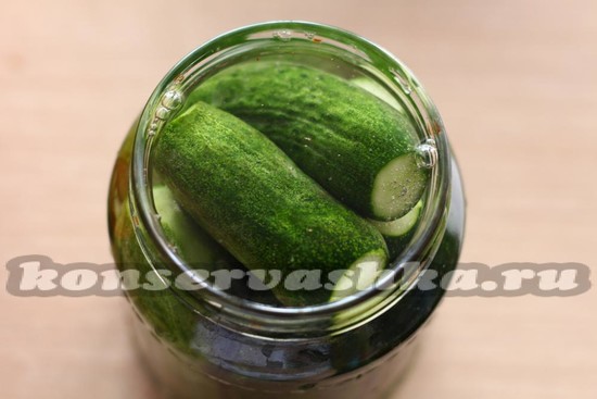 Залить рассолом