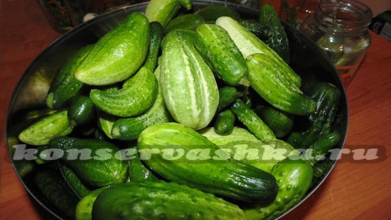 огурцы промыть