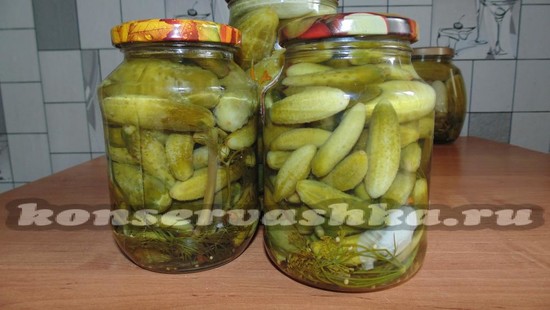 влить рассол, уксус, закатать