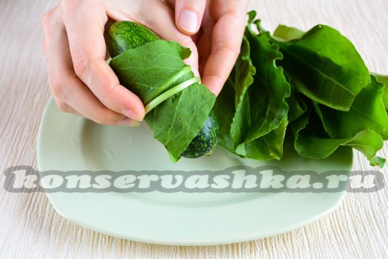 завернуть в листика щавеля