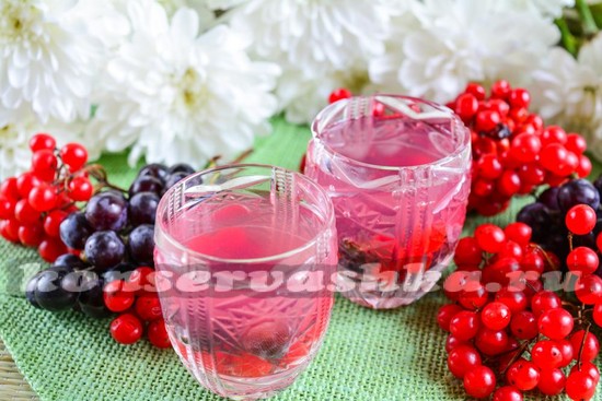 Рецепт компота из калины