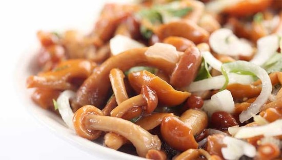 Как мариновать опята на зиму: самые вкусные и простые рецепты
