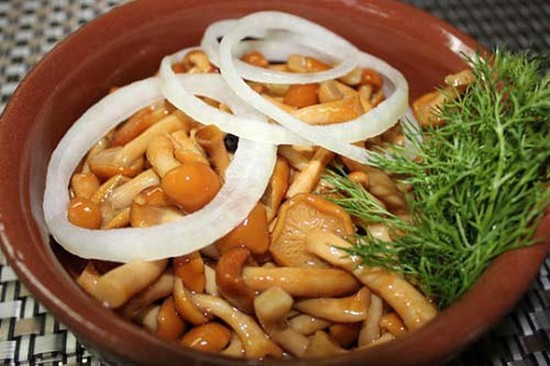 Как мариновать опята на зиму: самые вкусные и простые рецепты