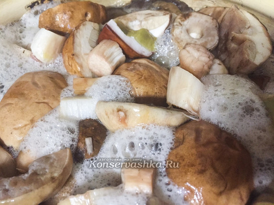 Как мариновать ножки и крупные шляпки белых грибов